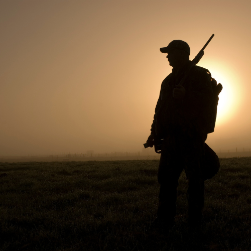 Hunter silhouette